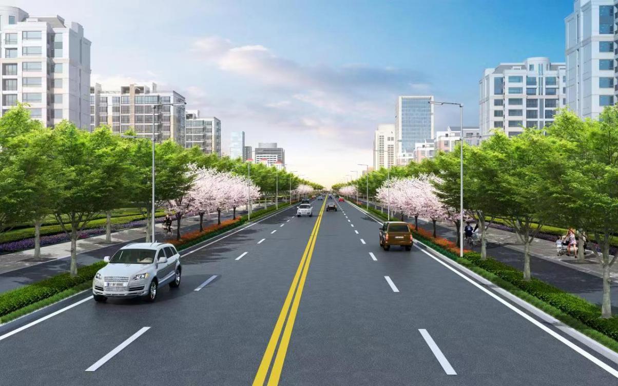 区重大办巡查指导崧建南路（新泾浜桥-崧泽大道）道路新改建工程3.jpeg