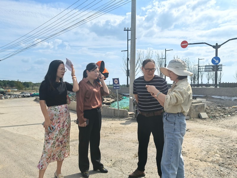 区重大办巡查华为周边配套道路项目1.jpg