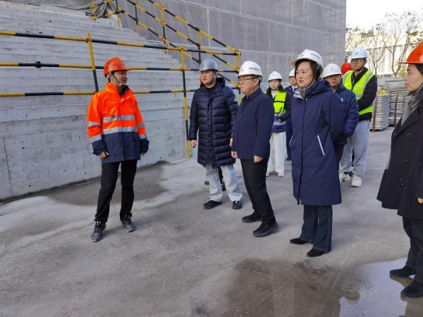 青浦区领导元旦前莅临工地检查工作1.jpg