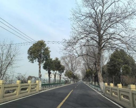 匠心织就“水乡生态廊道”——青赵公路整治工程验收顺利通过7.jpg