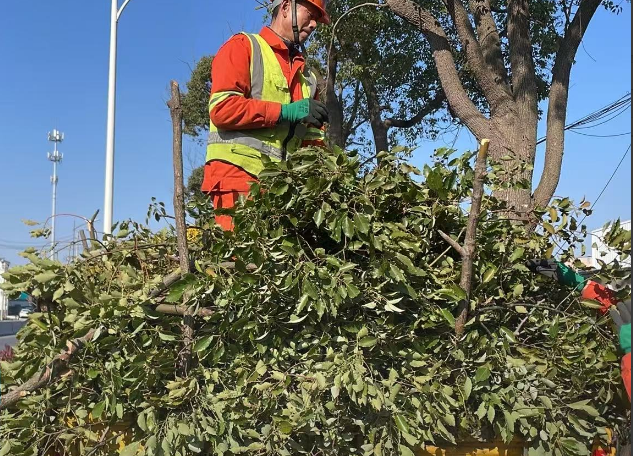 0330_145047_740.png 9.png