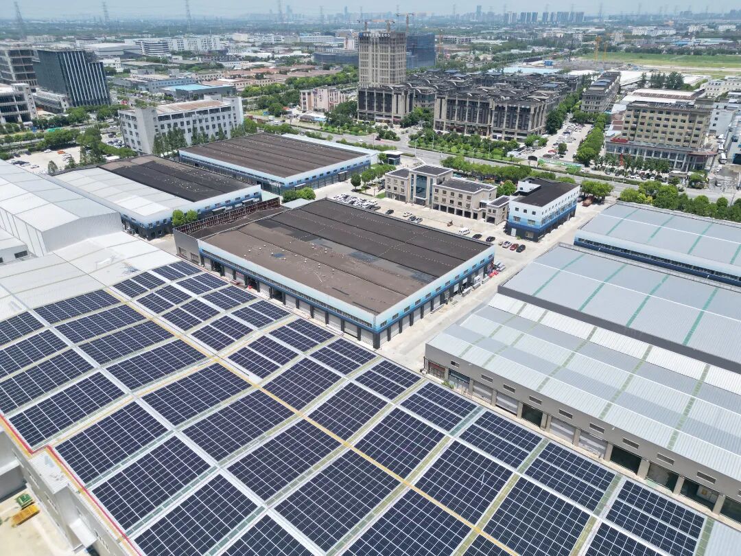 1125_181114_785.jpg 1125_181114_785.jpg