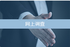 网上调查
