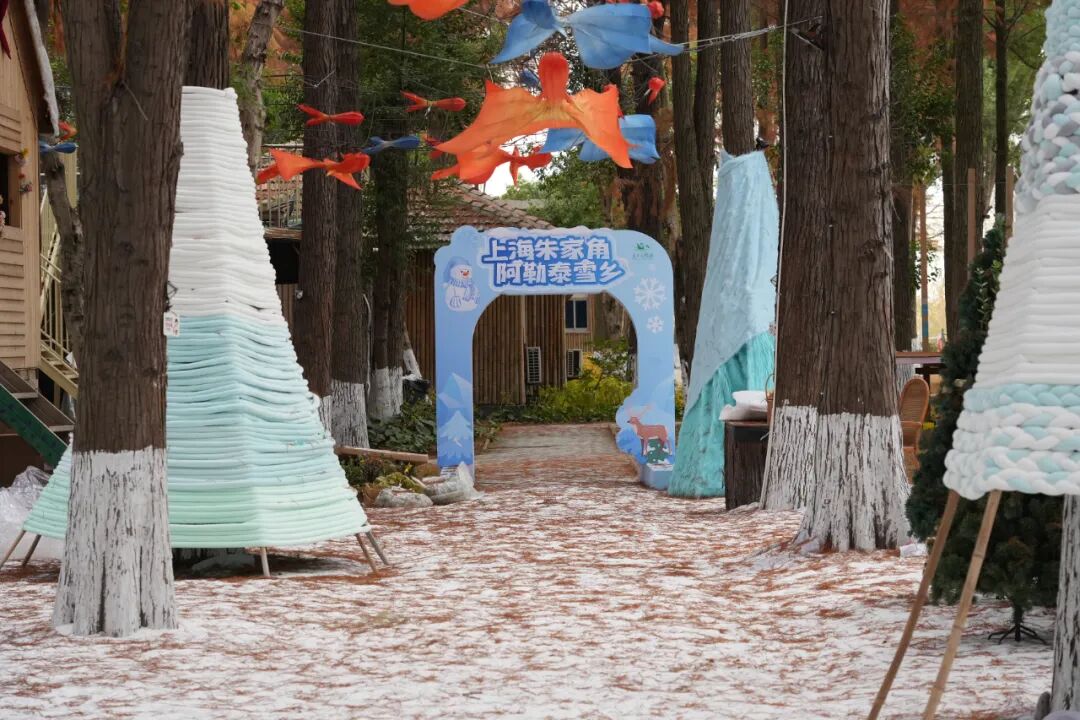 North China's ‘Altay Snow Village’ recreated in Shanghai's water town