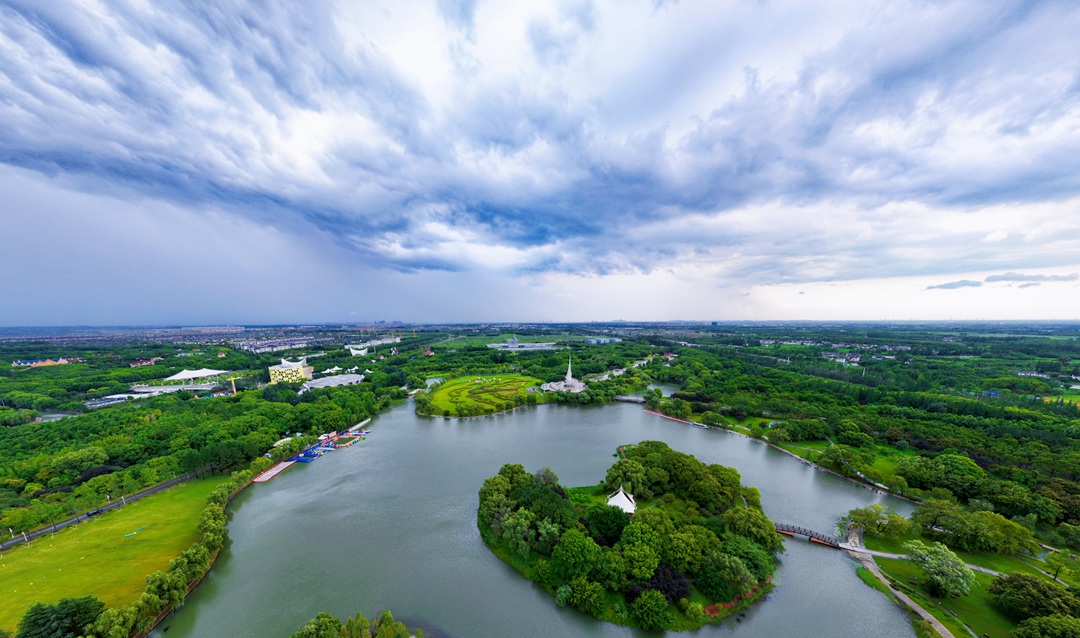 Take a Deep Breath by Dianshan Lake! An Authentic Guide to Roaming Qingpu