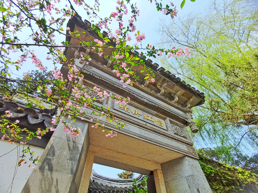 Take a Deep Breath by Dianshan Lake! An Authentic Guide to Roaming Qingpu