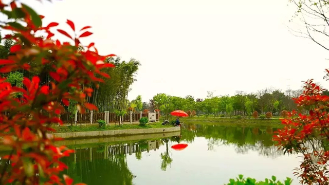 1127_142849_481.jpg 1127_142849_481.jpg