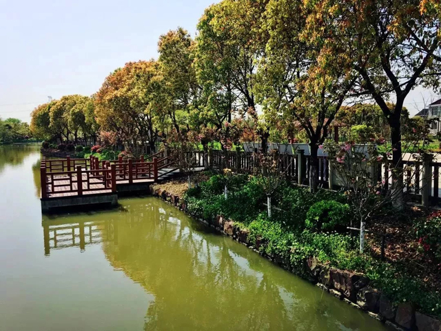 1127_142850_156.jpg 1127_142850_156.jpg