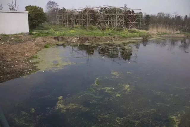 1127_142850_159.jpg 1127_142850_159.jpg