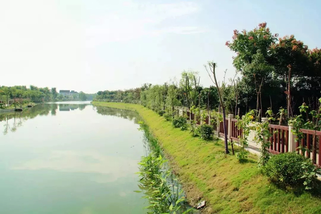 1127_142851_585.jpg 1127_142851_585.jpg