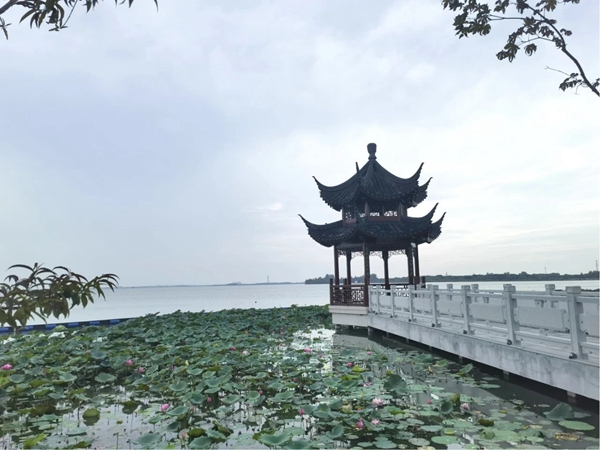 微信图片_20230911131825_4.jpg