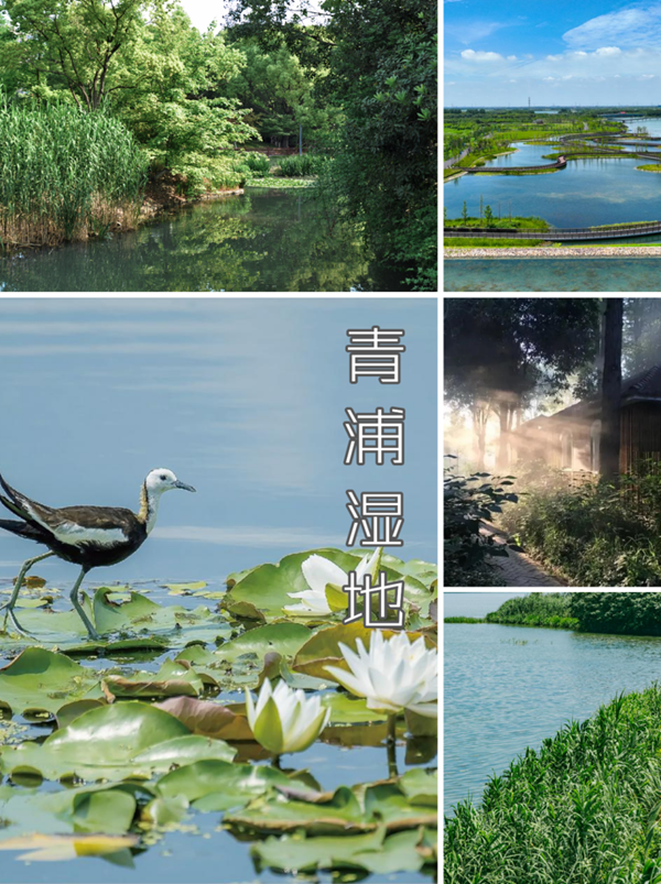 微信图片_20231007134150.png