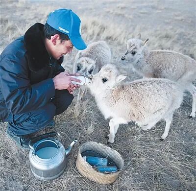 1020_102830_900.jpg 4.jpg