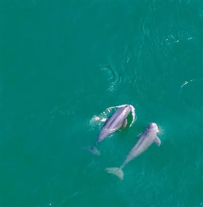 1020_102849_847.jpg 5.jpg