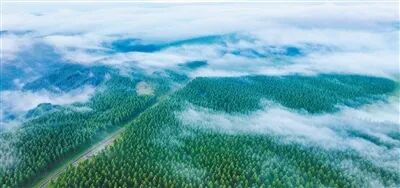 1020_102914_517.jpg 6.jpg