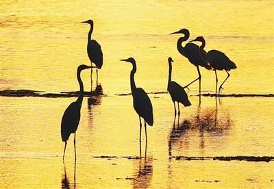 1020_102955_771.jpg 8.jpg