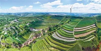 1020_103036_852.jpg 9.jpg