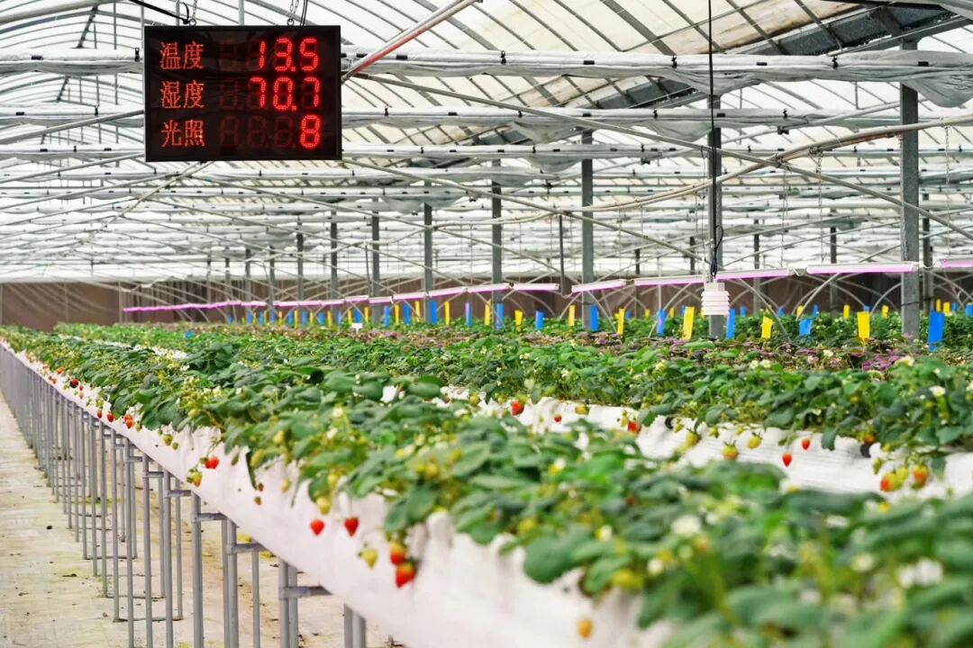 1020_103642_192.jpg 5.jpg