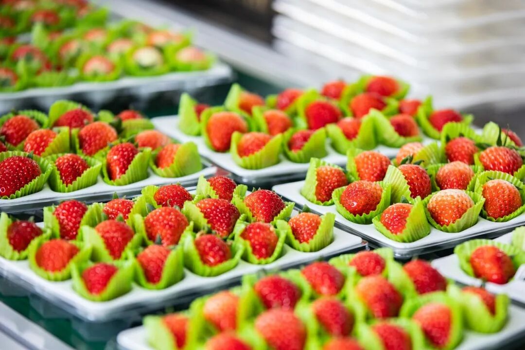 1020_103650_178.jpg 6.jpg