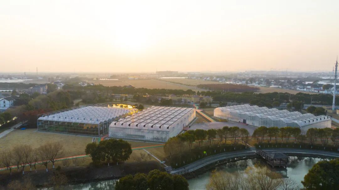 1020_103709_191.jpg 7.jpg