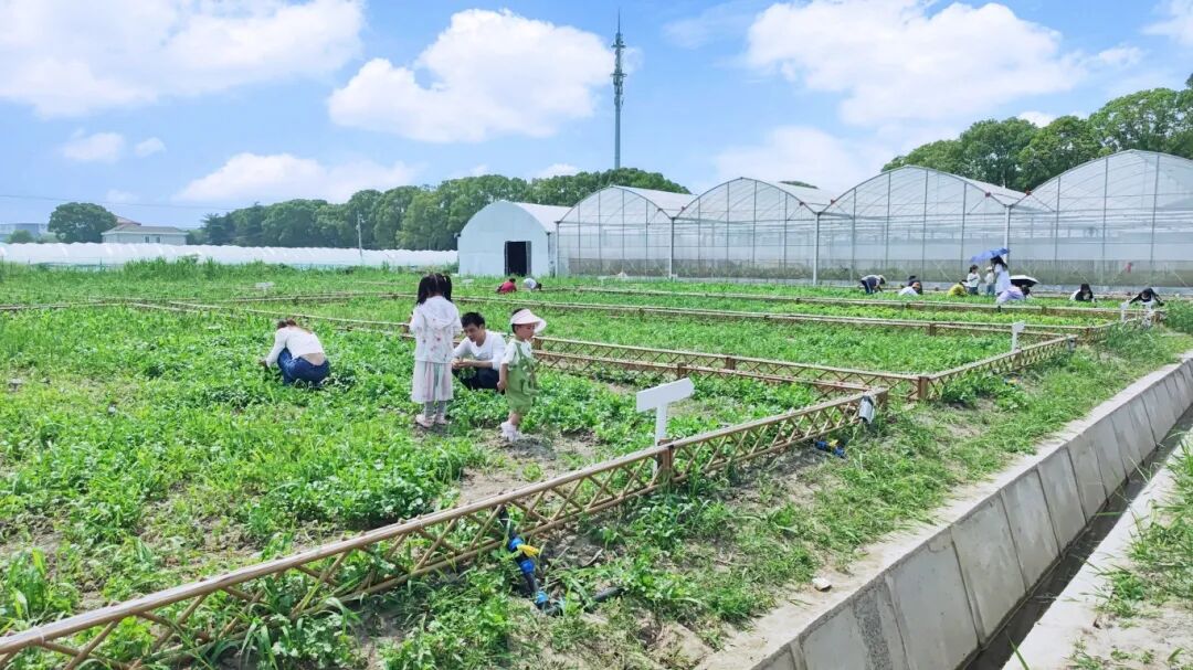 1020_103742_765.jpg 8.jpg