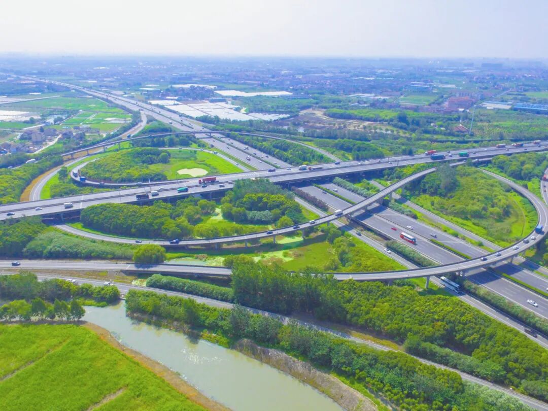 1030_100511_646.jpg 1.jpg