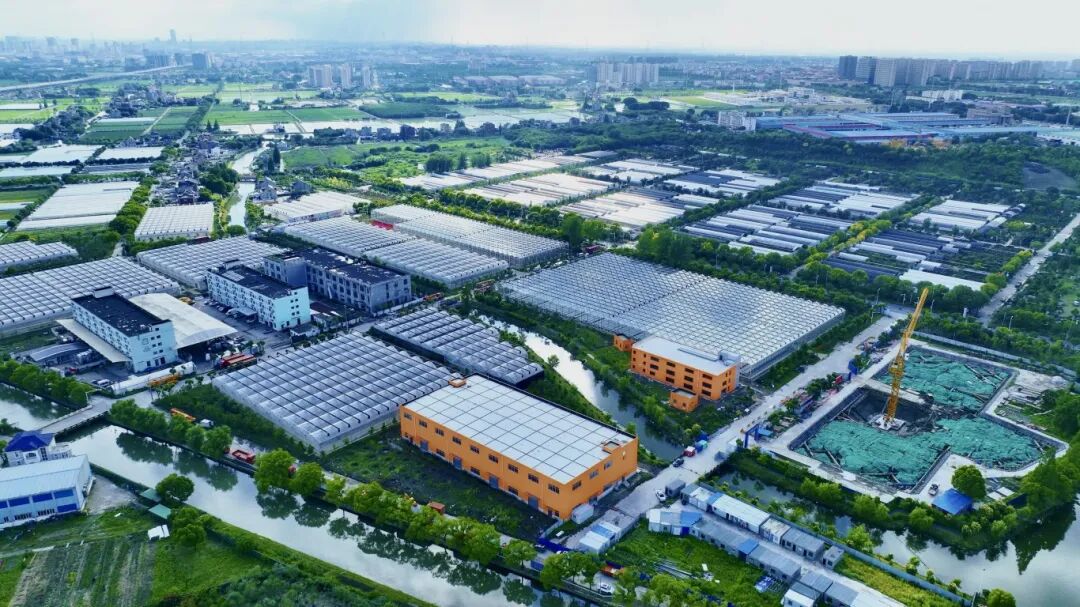 1030_102642_210.jpg 6.jpg