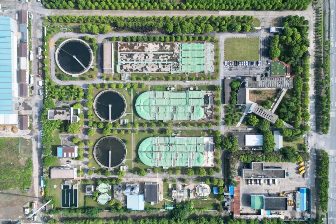 1030_102723_251.jpg 8.jpg