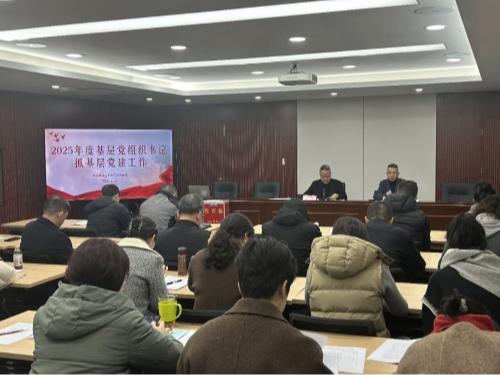 青浦区生态环境局召开2025年度党组书记抓基层党建工作述职评议会