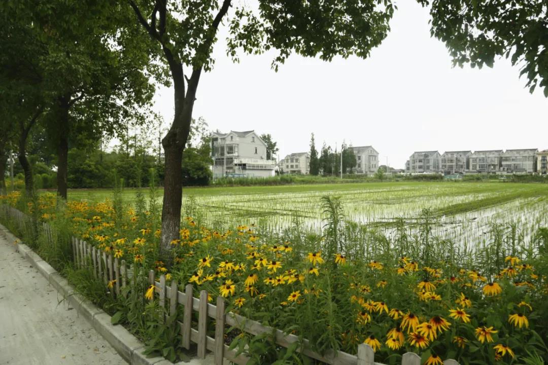 微信图片_20200708085011.jpg