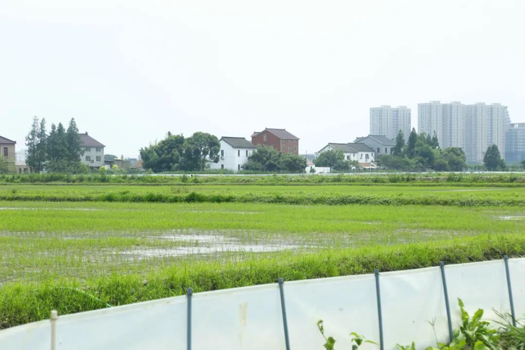 微信图片_20200708085014.jpg