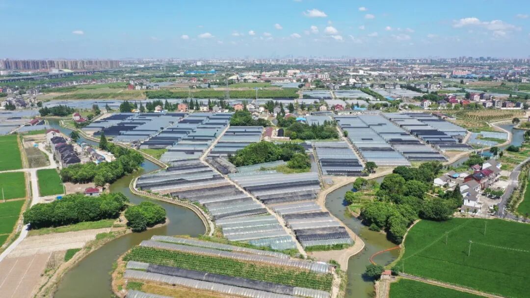 1121_083128_296.jpg 1.jpg