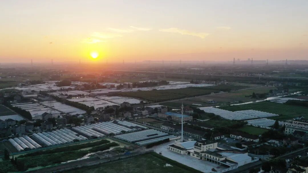 1121_083314_534.jpg 8.jpg