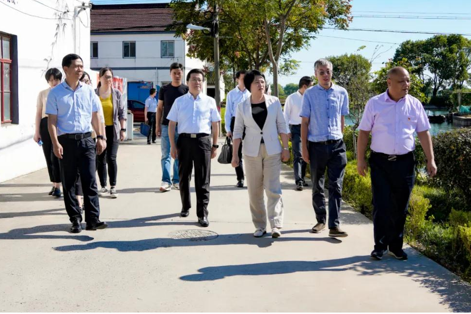 市委宣传部副部长胡佩艳至青浦区金泽镇双祥村开展走访调研活动