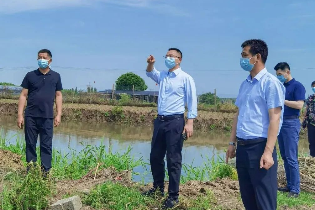 青浦区金泽镇党委副书记镇长镇总河长孙茂带队开展巡河督导工作