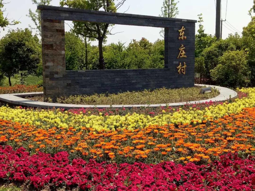 党建引领乡村振兴，打造“高颜值”生态、宜居东庄1.jpg