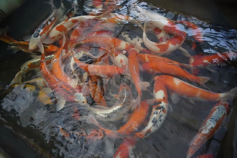 图片8.jpg