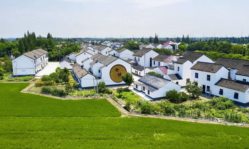 图片8.jpg