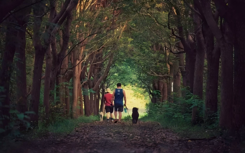 1114_100331_345.png 图片3.png