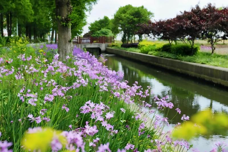 0610_151212_597.jpg 1.jpg