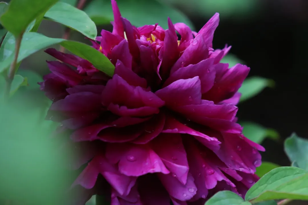 0407_105144_975.png