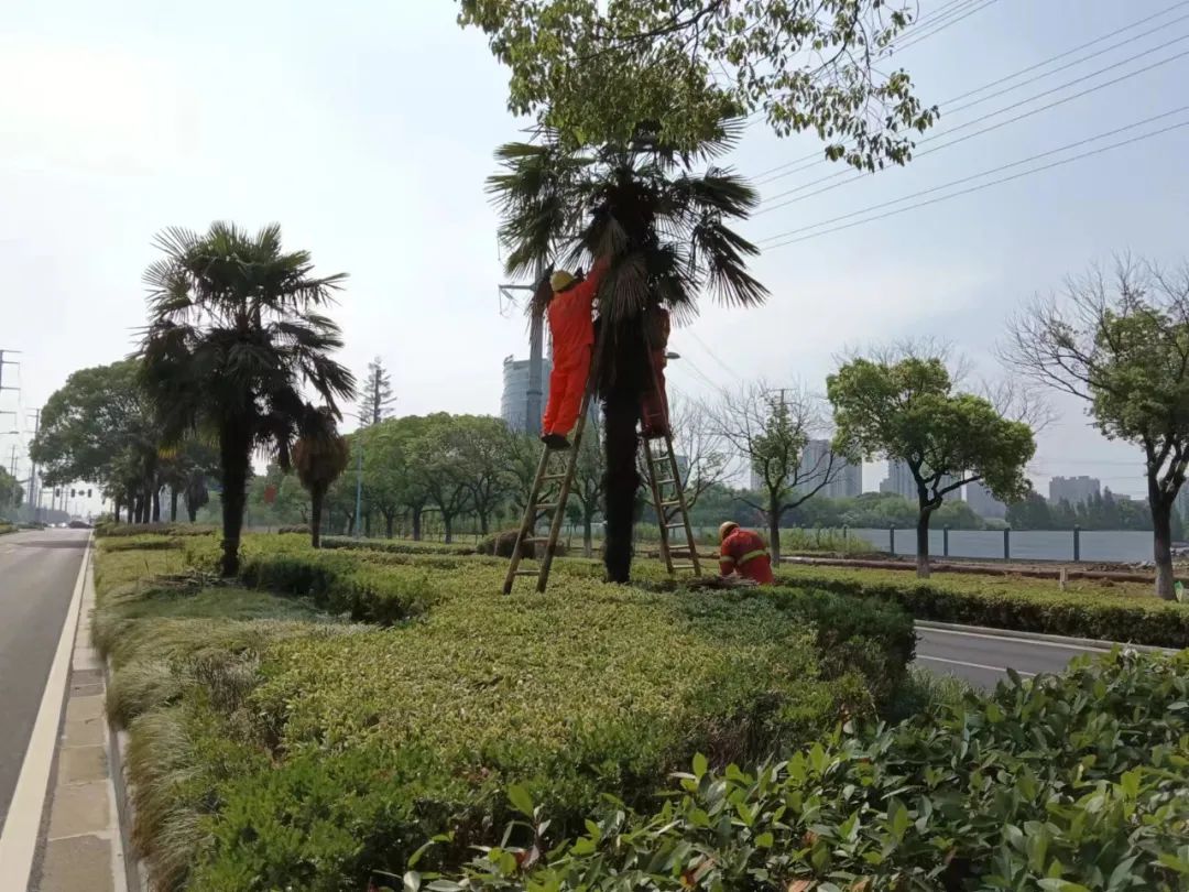 微信图片_20220725150419.jpg