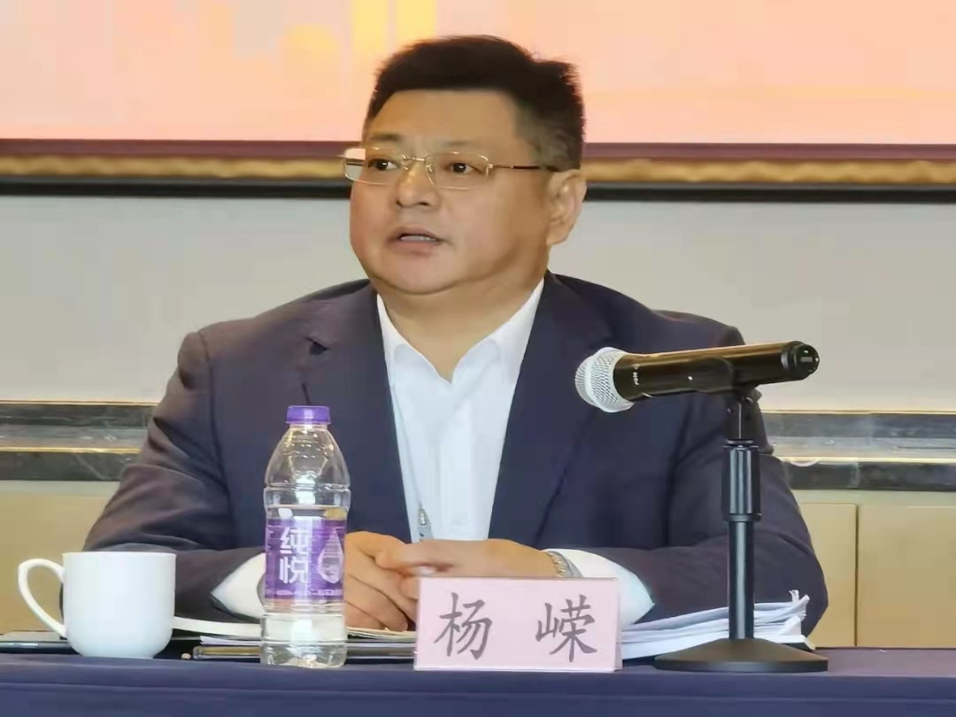 杨嵘指出,本次务虚会是在党的十九届六中全会及我区第六次党代会胜利