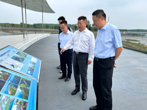 市应急局副局长王德强来青开展基层应急管理工作调研.jpg