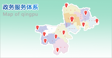 政务服务体系