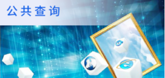 公共查询