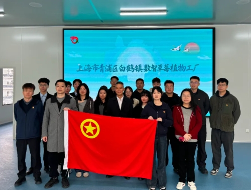 聚数成势赋能发展 生态绿色青春领航 区生态环境局团委、区数据局团支部联合开展主题团日活动