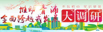 青浦大调研