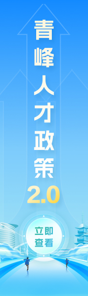青峰人才政策2.0服务平台