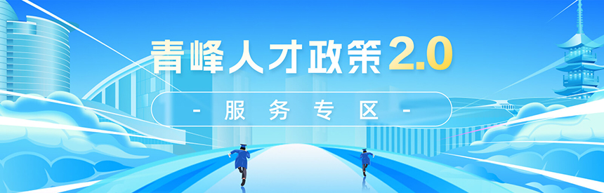 青峰人才政策2.0服务平台